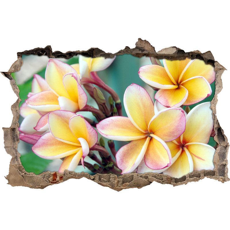 East Urban Home Beautiful Monoi Blossoms Wall Sticker Wayfair.co.uk